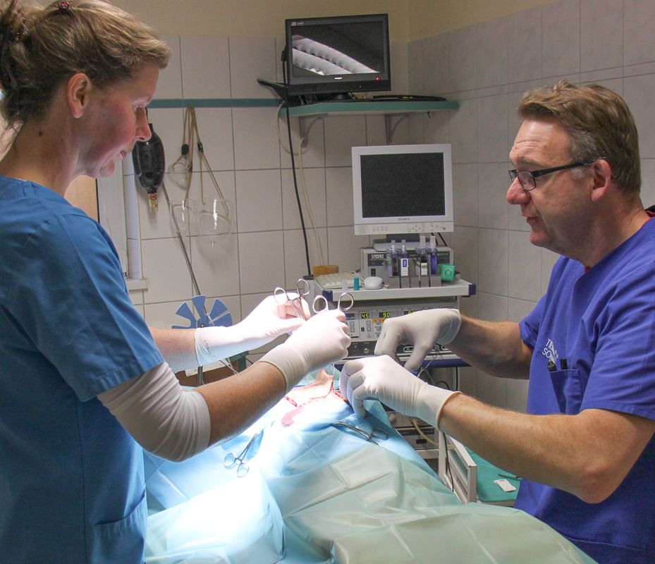 Chirurgie