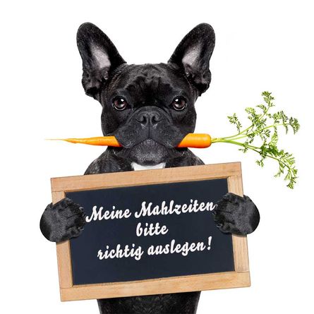 Rationsberechnung